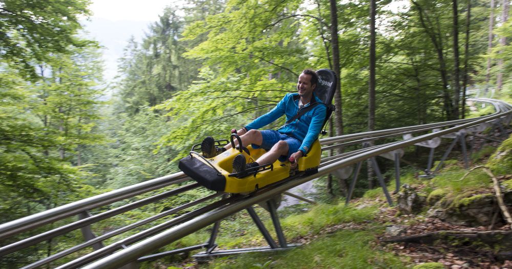 Cruising down the mountain Summer tobogganing Convention